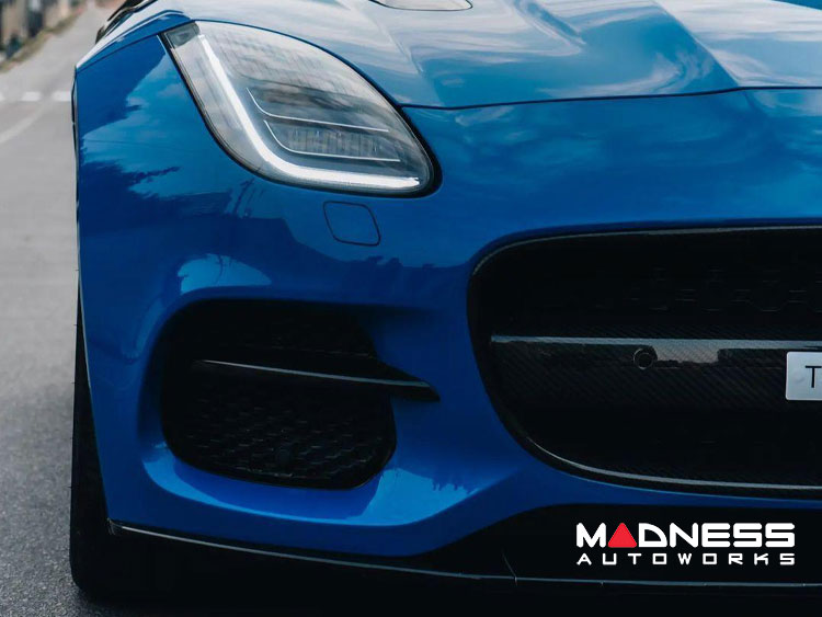 Jaguar F-TYPE Exterior Trim - Carbon Fiber - Radiator Grille Center Cover